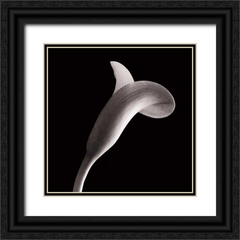 Lilies Black Ornate Wood Framed Art Print with Double Matting by Faragher, Michael