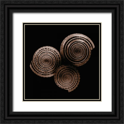Sundials Black Ornate Wood Framed Art Print with Double Matting by Faragher, Michael