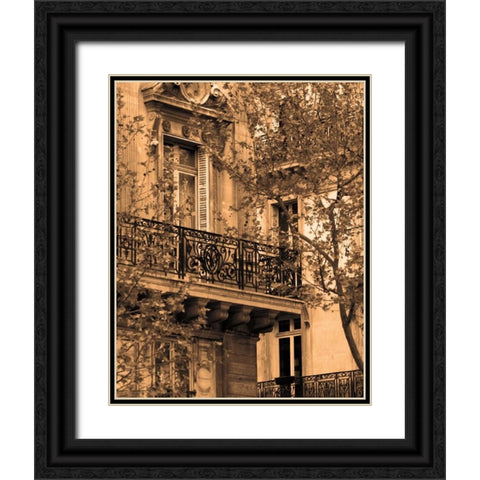 Printemps Arrive Black Ornate Wood Framed Art Print with Double Matting by Gilboa, Marina Drasnin