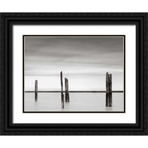 Cluster of Posts II Black Ornate Wood Framed Art Print with Double Matting by Hislop, Lawrence