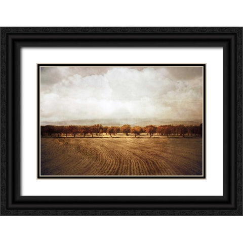 The Olive Grove Black Ornate Wood Framed Art Print with Double Matting by Jacks, Heather