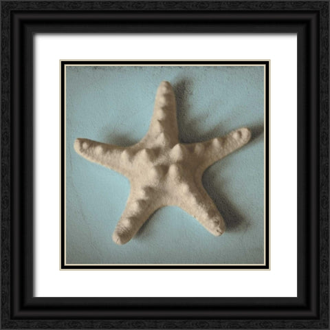 Seashell Study III Black Ornate Wood Framed Art Print with Double Matting by Jacks, Heather