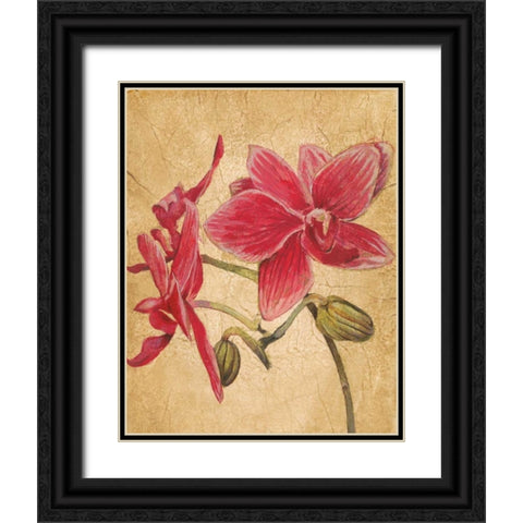 HawaiianTropics II Black Ornate Wood Framed Art Print with Double Matting by Jardine, Liz