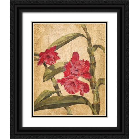 Hawaiian Tropics III Black Ornate Wood Framed Art Print with Double Matting by Jardine, Liz