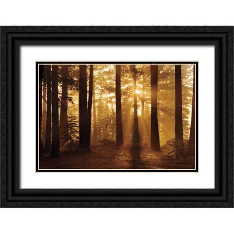 Tahoe Smoky Sunrise Black Ornate Wood Framed Art Print with Double Matting by Jones, Mike