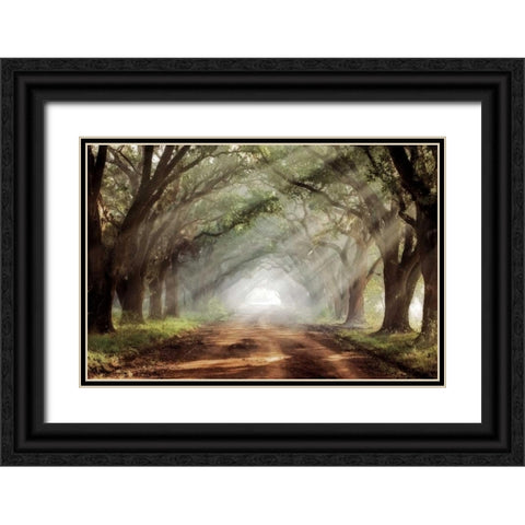 Evergreen Plantation Black Ornate Wood Framed Art Print with Double Matting by Jones, Mike