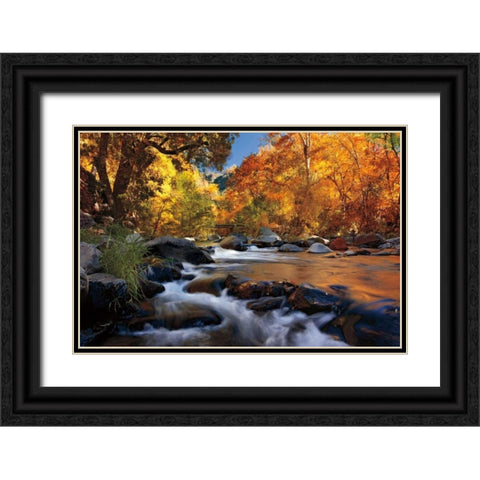 River of Gold Black Ornate Wood Framed Art Print with Double Matting by Jones, Mike