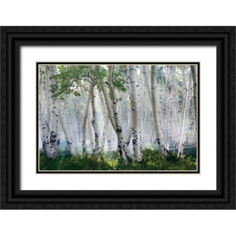 Up In The Clouds Black Ornate Wood Framed Art Print with Double Matting by Jones, Mike