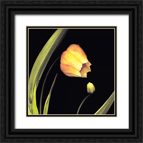 Japanese Lanterns Black Ornate Wood Framed Art Print with Double Matting by Levine, Andrew