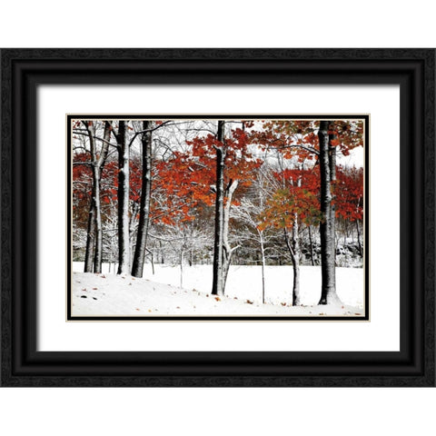 SnowFall Black Ornate Wood Framed Art Print with Double Matting by Lieberman , Burney