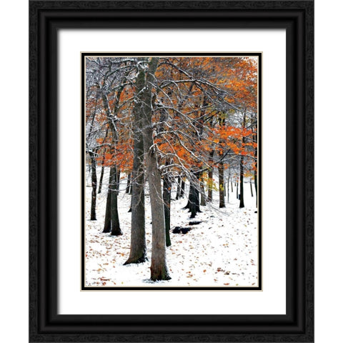 SnowFall II Black Ornate Wood Framed Art Print with Double Matting by Lieberman , Burney