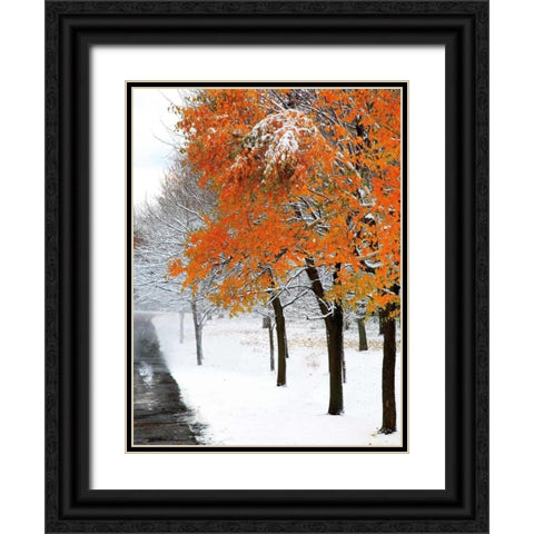 SnowFall III Black Ornate Wood Framed Art Print with Double Matting by Lieberman , Burney