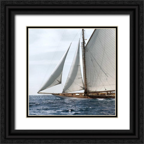 Sailing South Black Ornate Wood Framed Art Print with Double Matting by Llovet, Jorge
