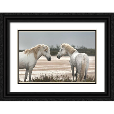 Friendship Black Ornate Wood Framed Art Print with Double Matting by Llovet, Jorge