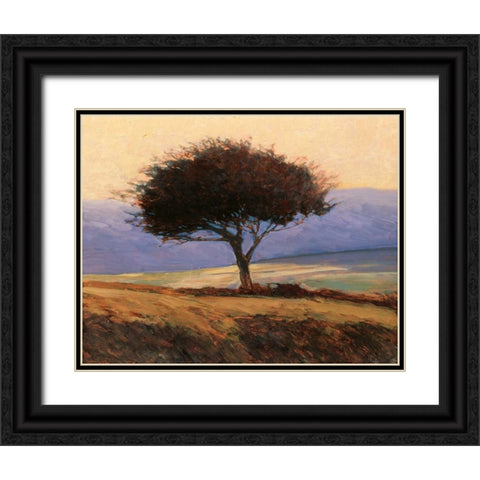 Cloondaff Black Ornate Wood Framed Art Print with Double Matting by Lovelace, Kent
