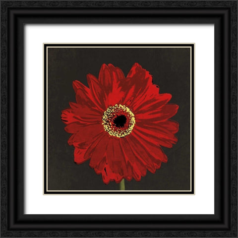 Midnight Gerbera III Black Ornate Wood Framed Art Print with Double Matting by Lacie, Robert