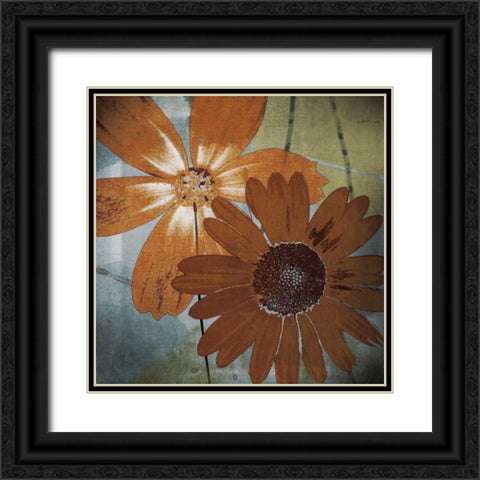 In the Cosmos Black Ornate Wood Framed Art Print with Double Matting by Lacie, Robert