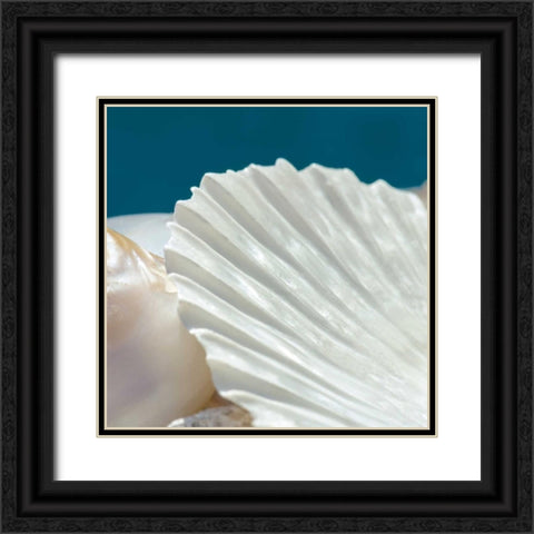 Fantastic Black Ornate Wood Framed Art Print with Double Matting by Marie, Dina