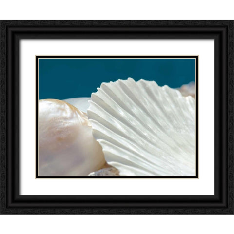 Fantastic Black Ornate Wood Framed Art Print with Double Matting by Marie, Dina