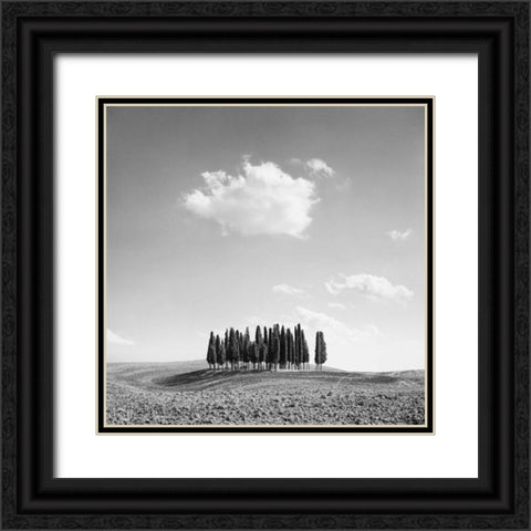 Cypress Trees Black Ornate Wood Framed Art Print with Double Matting by Miele, Jean