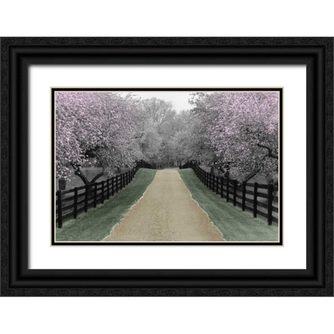 Apple Blossom Lane Black Ornate Wood Framed Art Print with Double Matting by Nagler, Monte