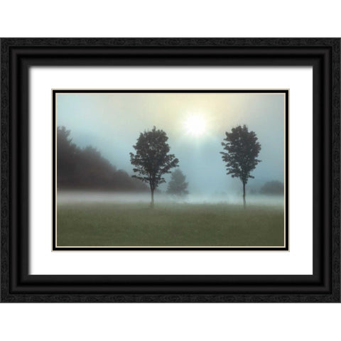 Sunburst Black Ornate Wood Framed Art Print with Double Matting by Nagler, Monte