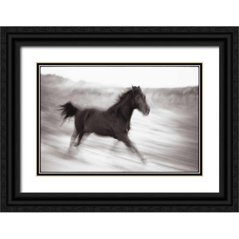 Americana Black Ornate Wood Framed Art Print with Double Matting by OMara, James