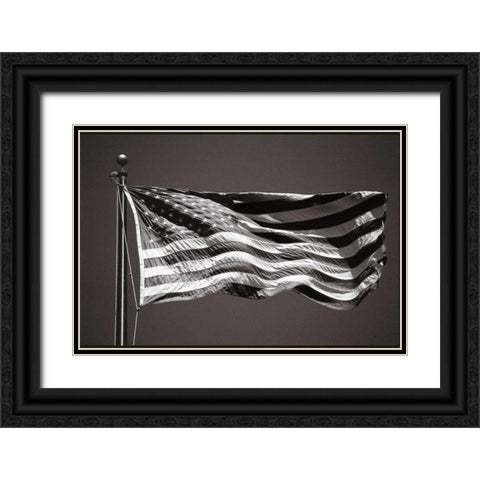 Americana Black Ornate Wood Framed Art Print with Double Matting by OMara, James