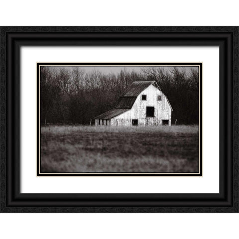 Americana Black Ornate Wood Framed Art Print with Double Matting by OMara, James