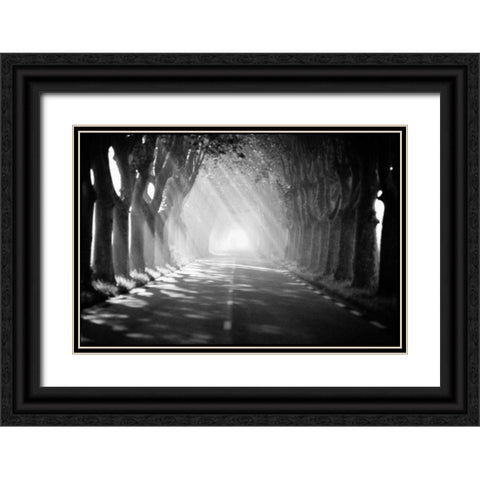 Provence Black Ornate Wood Framed Art Print with Double Matting by OMara, James