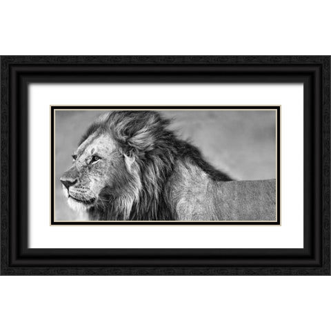 Lion Eyes Black Ornate Wood Framed Art Print with Double Matting by Ortega, Xavier