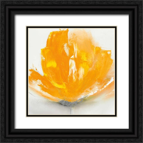 Wild Orange Sherbet I Black Ornate Wood Framed Art Print with Double Matting by Prior, J.P.
