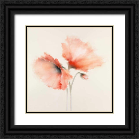 Pink Chiffon I Black Ornate Wood Framed Art Print with Double Matting by Prior, J.P.