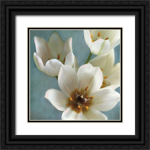 Lily Parfait II Black Ornate Wood Framed Art Print with Double Matting by Pahl, Janel