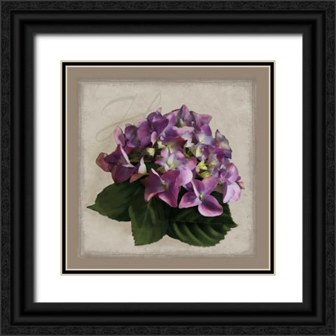 Botanical Hydrenga Black Ornate Wood Framed Art Print with Double Matting by Pahl, Janel