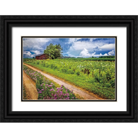 Family Farm Black Ornate Wood Framed Art Print with Double Matting by Celebrate Life Gallery