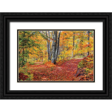 Full Path Black Ornate Wood Framed Art Print with Double Matting by Howarth, Gail