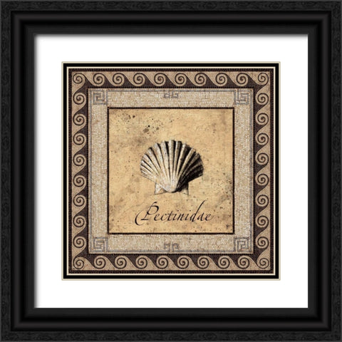 Shell Works II Black Ornate Wood Framed Art Print with Double Matting by Panossian, Paul
