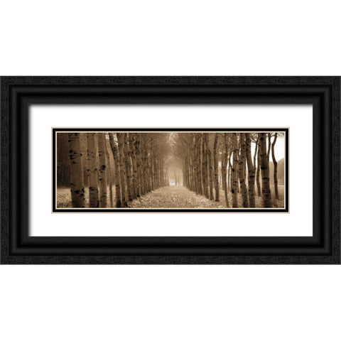 The Shimmering Forest Black Ornate Wood Framed Art Print with Double Matting by Ross, Heather