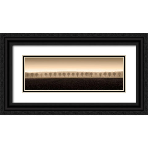 Dappled Morning Fields Black Ornate Wood Framed Art Print with Double Matting by Ross, Heather