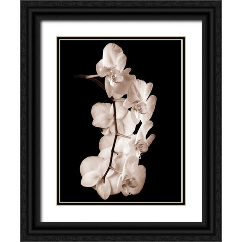 Orchid Dance I Black Ornate Wood Framed Art Print with Double Matting by Rehner, John