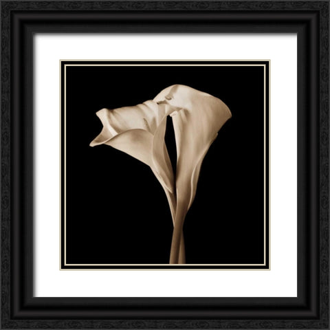 The Embrace Black Ornate Wood Framed Art Print with Double Matting by Rehner, John