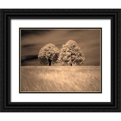 Together and Alone I Black Ornate Wood Framed Art Print with Double Matting by Szilagyi, Ily