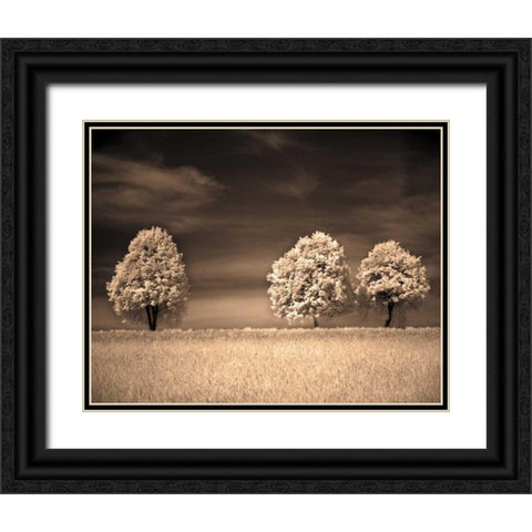 Together and Alone II Black Ornate Wood Framed Art Print with Double Matting by Szilagyi, Ily