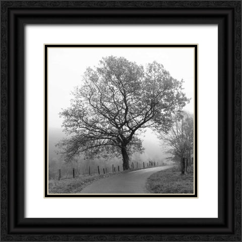 Foggy Afternoon Black Ornate Wood Framed Art Print with Double Matting by Szilagyi, Ily