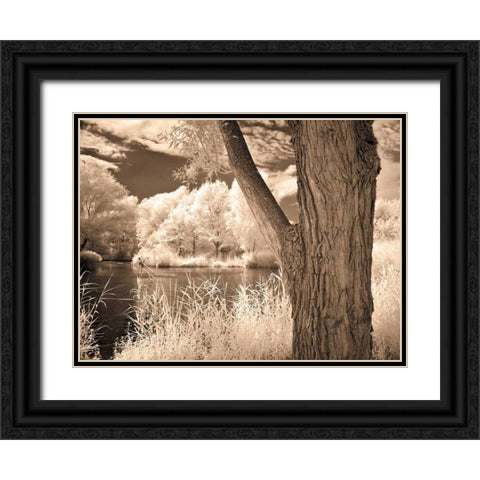 Lakefront View II Black Ornate Wood Framed Art Print with Double Matting by Szilagyi, Ily