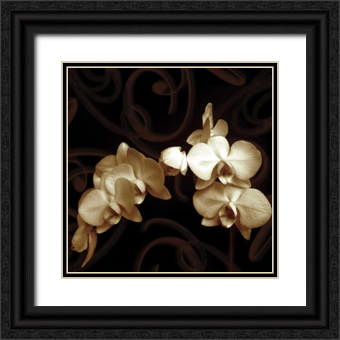 Elegance Black Ornate Wood Framed Art Print with Double Matting by Szilagyi, Ily