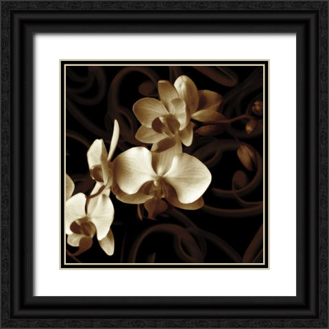 Grace Black Ornate Wood Framed Art Print with Double Matting by Szilagyi, Ily