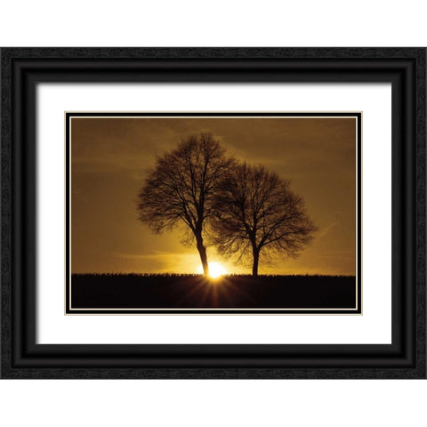 A New Beginning Black Ornate Wood Framed Art Print with Double Matting by Szilagyi, Ily