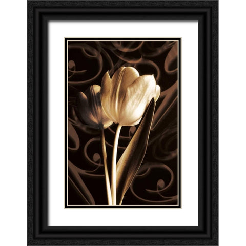 Floral Eloquence  II Black Ornate Wood Framed Art Print with Double Matting by Szilagyi, Ily